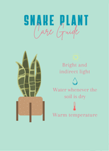 Load image into Gallery viewer, Plant it Gift Basket