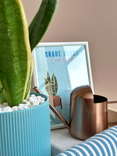 Load image into Gallery viewer, Plant it Gift Basket