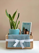 Load image into Gallery viewer, Plant it Gift Basket