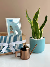 Load image into Gallery viewer, Plant it Gift Basket