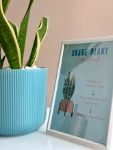 Load image into Gallery viewer, Plant it Gift Basket