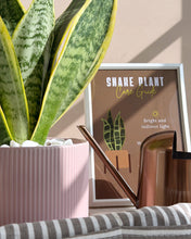 Load image into Gallery viewer, Plant it Gift Basket