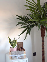 Load image into Gallery viewer, Plant it Gift Basket