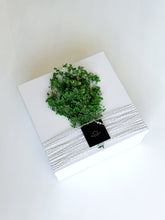 Load image into Gallery viewer, The Big Boss Gift Box