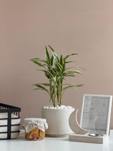 Load image into Gallery viewer, Ramadan Nuqsa Gift Basket