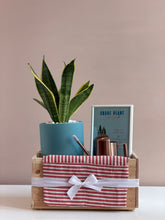 Load image into Gallery viewer, Plant it Gift Basket