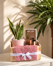 Load image into Gallery viewer, Potted snake plant in a wooden gift box with a red and white striped paper and a card on a light surface.
