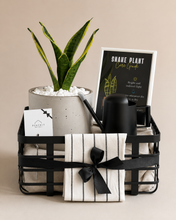 Load image into Gallery viewer, Plant it Gift Basket Black Edition
