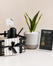 Load image into Gallery viewer, Plant it Gift Basket Black Edition
