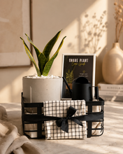 Load image into Gallery viewer, Plant it Gift Basket Black Edition
