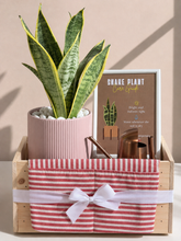 Load image into Gallery viewer, Plant it Gift Basket
