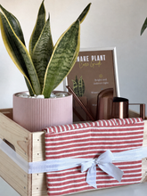 Load image into Gallery viewer, Decorative setup with a potted plant, books, and a striped box on a white surface.
