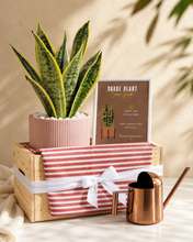 Load image into Gallery viewer, Potted snake plant with a care guide, striped box, and copper watering can on a neutral background
