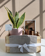 Load image into Gallery viewer, Plant it Gift Basket
