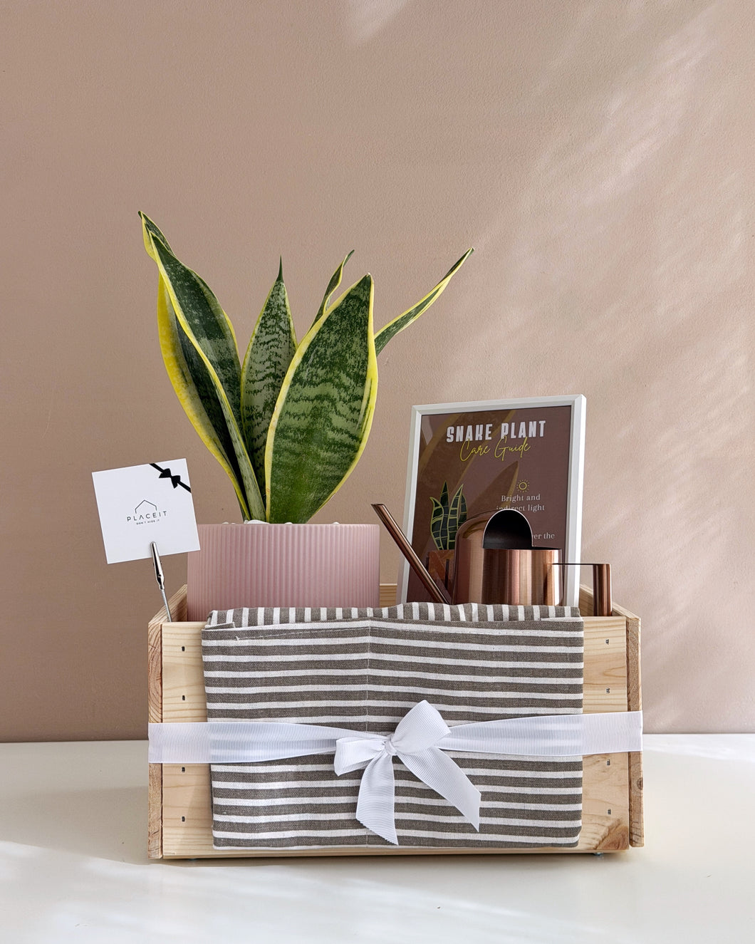 Plant it Gift Basket