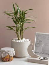 Load image into Gallery viewer, Ramadan Nuqsa Gift Basket
