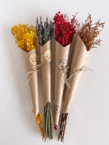Collection of 4 Colors of Dried flowers