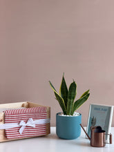 Load image into Gallery viewer, Plant it Gift Basket
