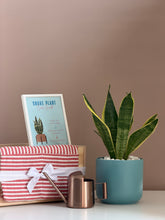 Load image into Gallery viewer, Plant it Gift Basket
