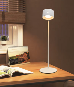 Modern Minimalist Table Lamp